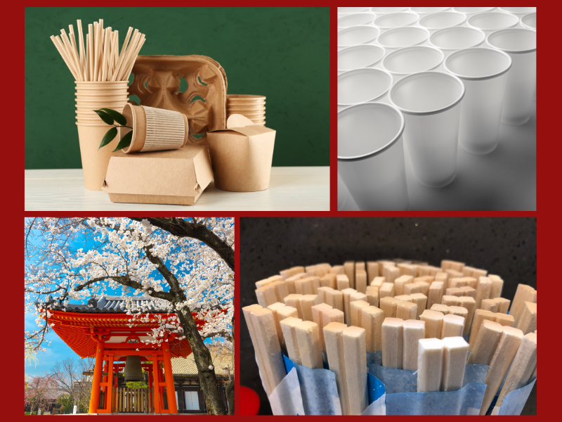 Siêu thị của Nhật Bản cần nhập khẩu cốc giấy và đũa dùng 1 lần của Việt Nam